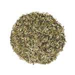 Teanourish Moringa Tulsi Green Tea